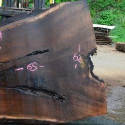 Goby Walnut Oregon Black Walnut Slab 051915-04 Green Slabs