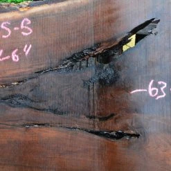 Goby Walnut Oregon Black Walnut Slab 051915-05