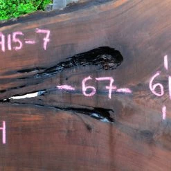 Goby Walnut Green Slabs Oregon Black Walnut Slab 051915-07