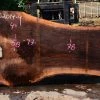 Goby Walnut Bastogne Walnut Slab 052014-09 Green Slabs