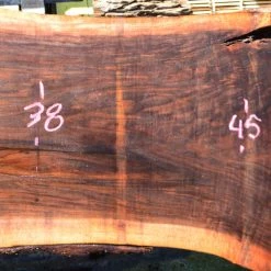 Goby Walnut Bastogne Walnut Slab 052014-09 Green Slabs