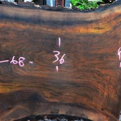 Goby Walnut Green Slabs Oregon Black Walnut Slab 052015-03