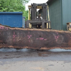 Goby Walnut Products Oregon Black Walnut Slab 052021-01 Green Slabs