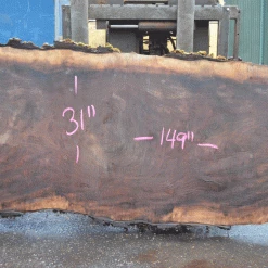 Goby Walnut Products Oregon Black Walnut Slab 052021-01 Green Slabs