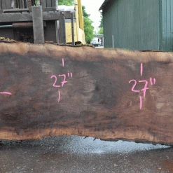 Goby Walnut Products Oregon Black Walnut Slab 052021-01 Green Slabs