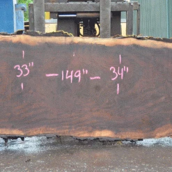 Goby Walnut Products Oregon Black Walnut Slab 052021-02 Green Slabs