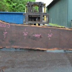 Goby Walnut Products Oregon Black Walnut Slab 052021-03