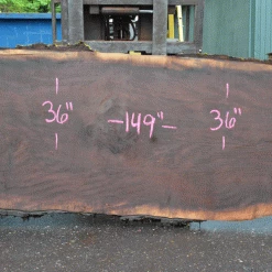 Goby Walnut Products Oregon Black Walnut Slab 052021-03