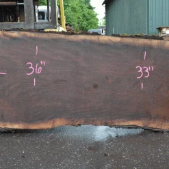 Goby Walnut Products Oregon Black Walnut Slab 052021-03