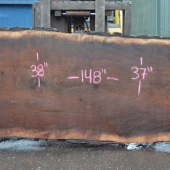 Goby Walnut Products Oregon Black Walnut Slab 052021-04