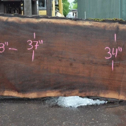 Goby Walnut Products Oregon Black Walnut Slab 052021-04