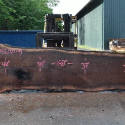 Goby Walnut Products Oregon Black Walnut Slab 052021-05 Green Slabs