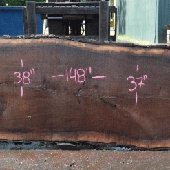 Goby Walnut Products Oregon Black Walnut Slab 052021-05 Green Slabs