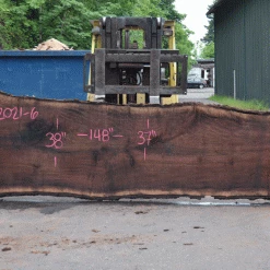 Goby Walnut Products Oregon Black Walnut Slab 052021-06