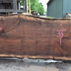 Goby Walnut Products Oregon Black Walnut Slab 052021-06
