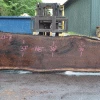 Goby Walnut Products Oregon Black Walnut Slab 052021-07 Green Slabs