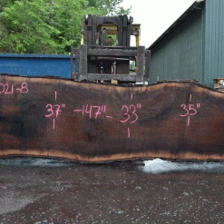 Goby Walnut Products Green Slabs Oregon Black Walnut Slab 052021-08