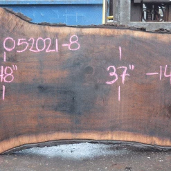 Goby Walnut Products Green Slabs Oregon Black Walnut Slab 052021-08