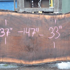 Goby Walnut Products Green Slabs Oregon Black Walnut Slab 052021-08