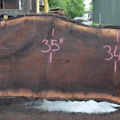 Goby Walnut Products Green Slabs Oregon Black Walnut Slab 052021-08