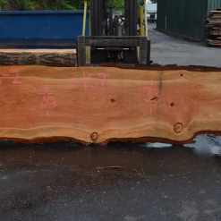 Goby Walnut Products Green Slabs 052119-02 Oregon Fir Slab