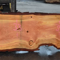 Goby Walnut Products Green Slabs 052119-02 Oregon Fir Slab