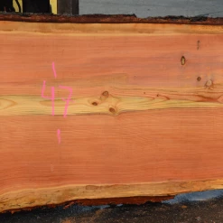 Goby Walnut Products Green Slabs 052119-05 Oregon Fir Slab