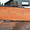 Goby Walnut Products Green Slabs 052119-06 Oregon Fir Slab