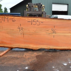 Goby Walnut Products Green Slabs 052119-06 Oregon Fir Slab