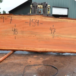 Goby Walnut Products Green Slabs 052119-07 Oregon Fir Slab