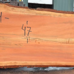 Goby Walnut Products Green Slabs 052119-07 Oregon Fir Slab