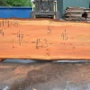 Goby Walnut Products Green Slabs 052119-08 Oregon Fir Slab