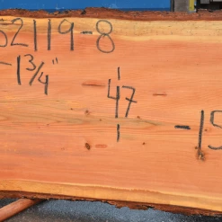 Goby Walnut Products Green Slabs 052119-08 Oregon Fir Slab