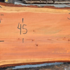 Goby Walnut Products Green Slabs 052119-08 Oregon Fir Slab