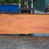 Goby Walnut Products 052119-11 Oregon Fir Slab Green Slabs