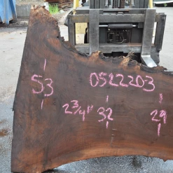 Goby Walnut Products Oregon Black Walnut Slab 052220-03 Green Slabs