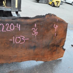 Goby Walnut Products Oregon Black Walnut Slab 052220-04