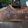 Goby Walnut Products Green Slabs Oregon Black Walnut Slab 052320-01