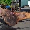 Goby Walnut Products Oregon Black Walnut Slab 052420-01