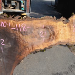 Goby Walnut Products Oregon Black Walnut Slab 052420-01