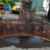 Goby Walnut Products Oregon Black Walnut Slab 052420-02 Green Slabs