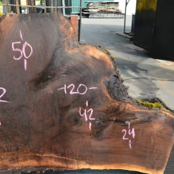 Goby Walnut Products Oregon Black Walnut Slab 052420-02 Green Slabs