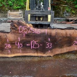 Goby Walnut Bastogne Walnut Slab 052516-01