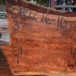 Goby Walnut Oregon Redwood Slab 052616-10