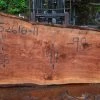 Goby Walnut Oregon Redwood Slab 052616-11 Green Slabs