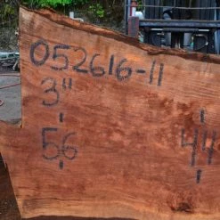 Goby Walnut Oregon Redwood Slab 052616-11 Green Slabs