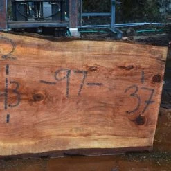 Goby Walnut Green Slabs Oregon Redwood Slab 052616-12