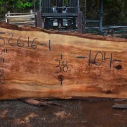 Goby Walnut Oregon Redwood Slab 052616-01 Green Slabs