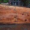 Goby Walnut Green Slabs Oregon Redwood Slab 052616-02