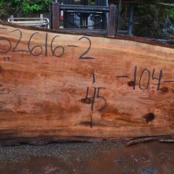 Goby Walnut Green Slabs Oregon Redwood Slab 052616-02